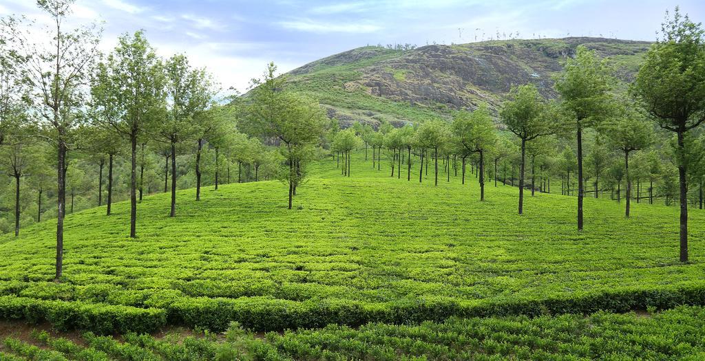 Elysium Garden Otel Munnar Dış mekan fotoğraf