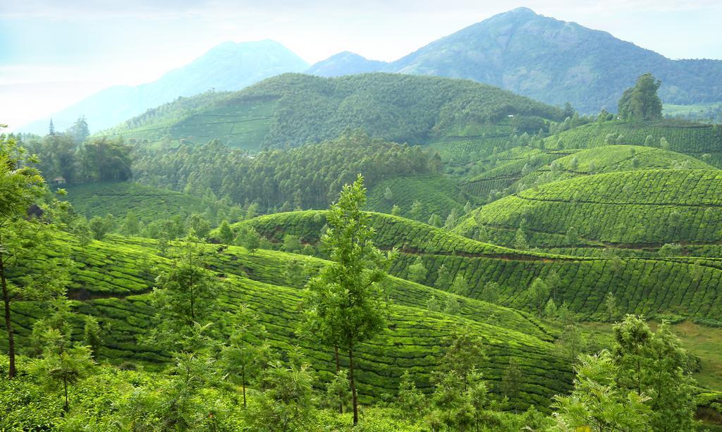 Elysium Garden Otel Munnar Dış mekan fotoğraf