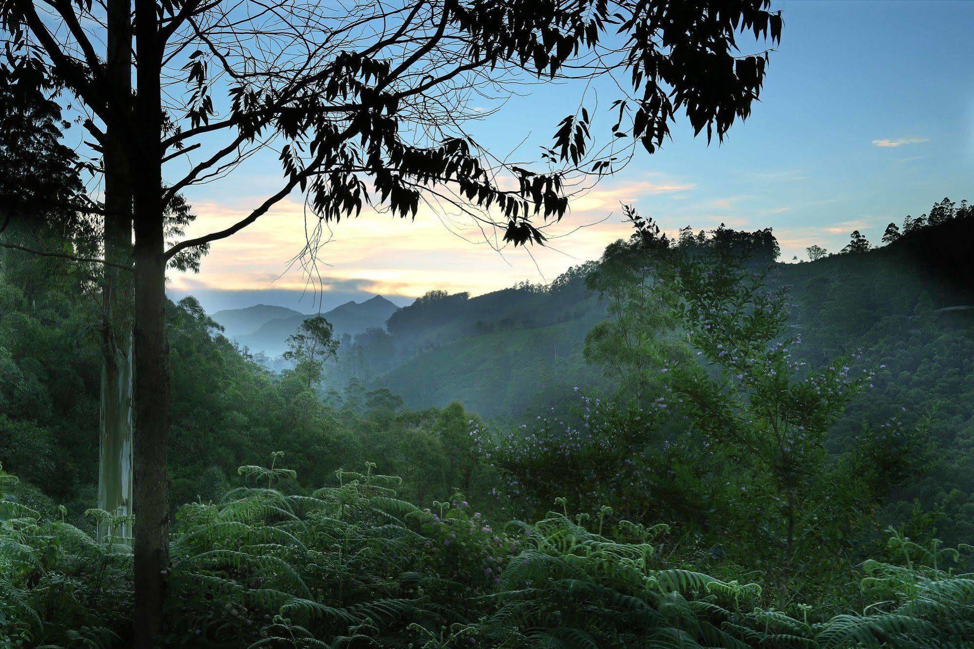 Elysium Garden Otel Munnar Dış mekan fotoğraf